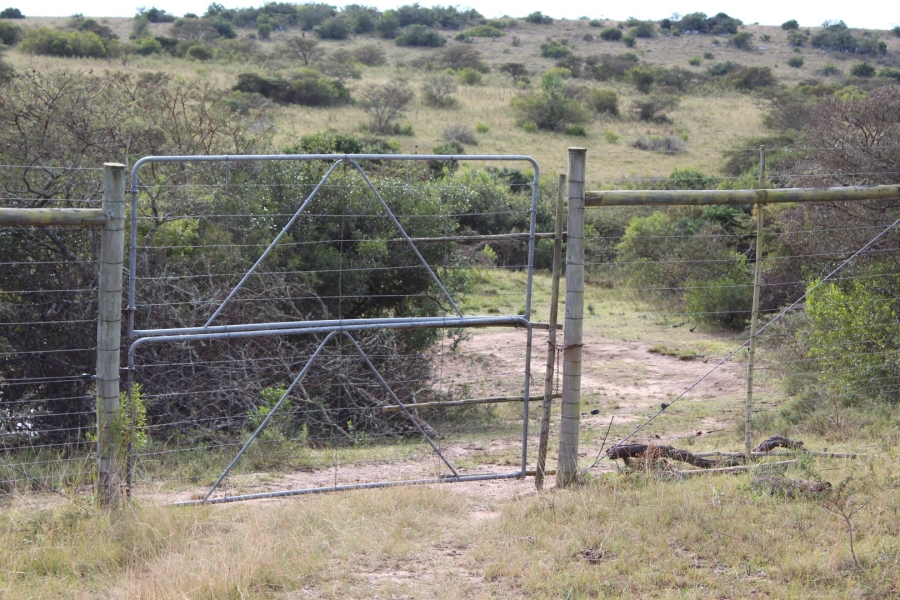1 Bedroom Property for Sale in Bathurst Rural Eastern Cape